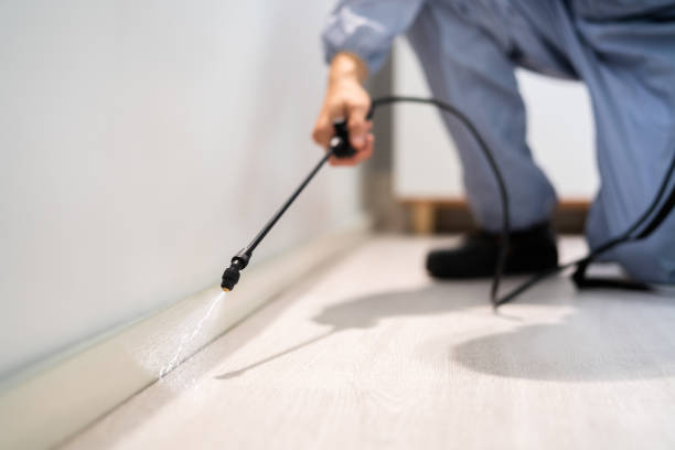 Licensed Pest Control service in Medina, WA - Show Me Pest Control
